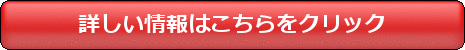 �I���N�����ϕi  ���� �T�C�g��